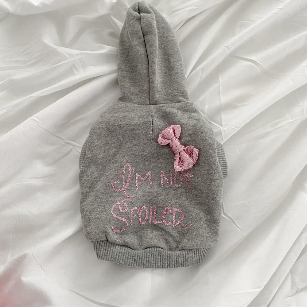 XS pet hoodie for small animal
